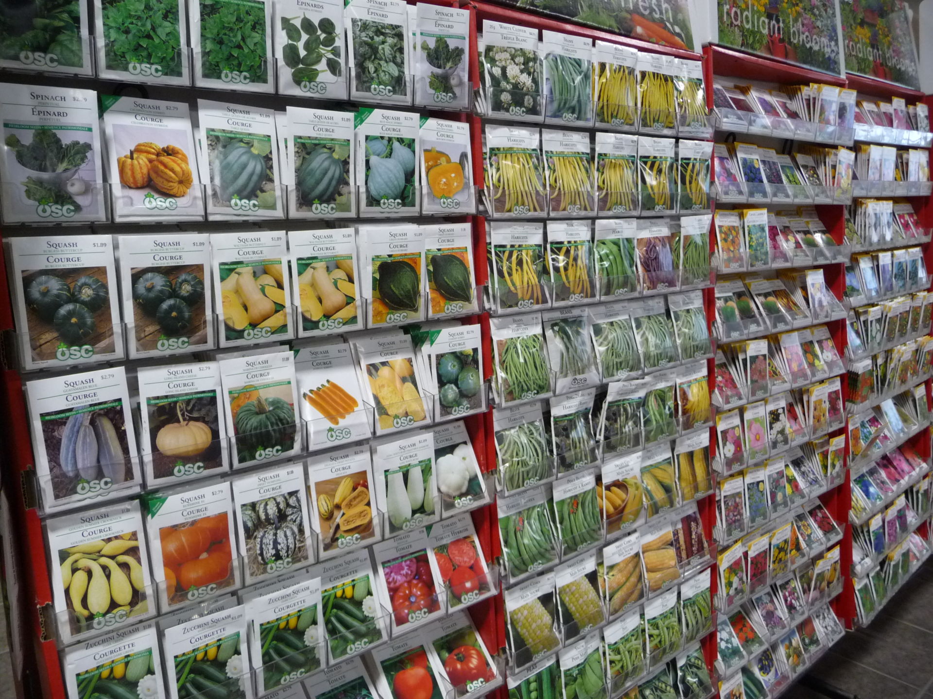 Seed Catalogues